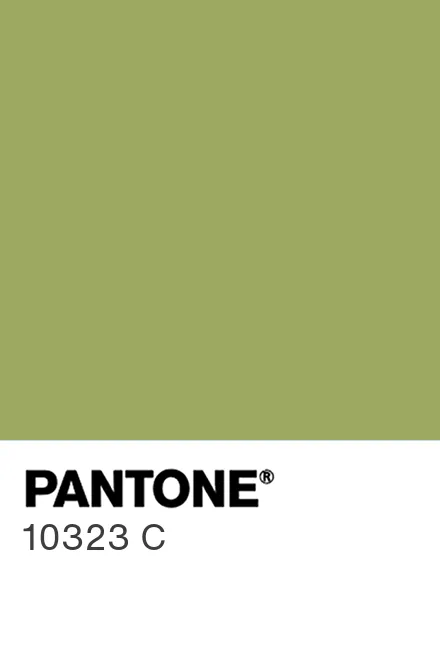 PANTONE 10323 C - Pantone色号库|Pantone潘通中国官网