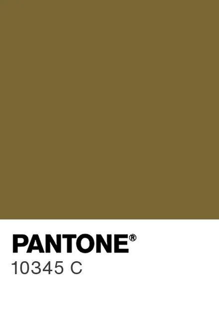 PANTONE 10345 C - Pantone色号库|Pantone潘通中国官网