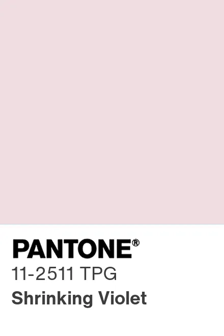 PANTONE 11-2511 TPG Shrinking Violet - Pantone色号库|Pantone潘通中国官网