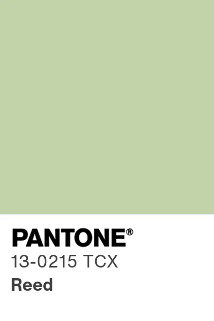 PANTONE 13-0215 TCX Reed - Pantone色号库|Pantone潘通中国官网