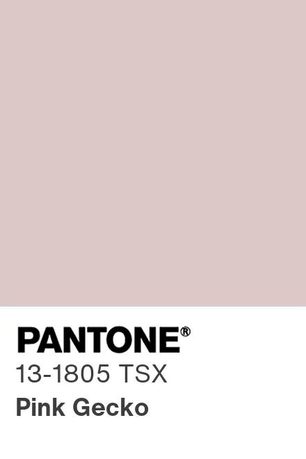 PANTONE 13-1805 TSX Pink Gecko - Pantone色号库|Pantone潘通中国官网