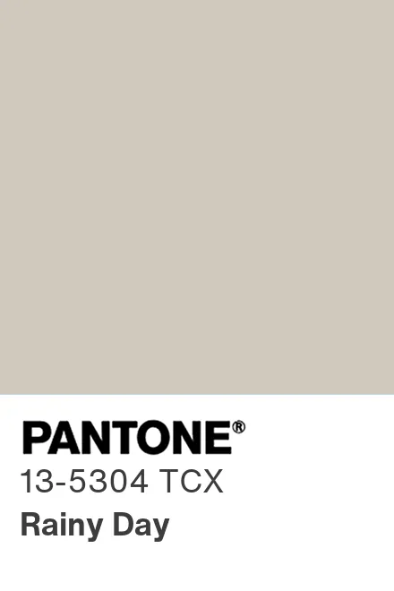 PANTONE 13-5304 TCX Rainy Day - Pantone色号库|Pantone潘通中国官网