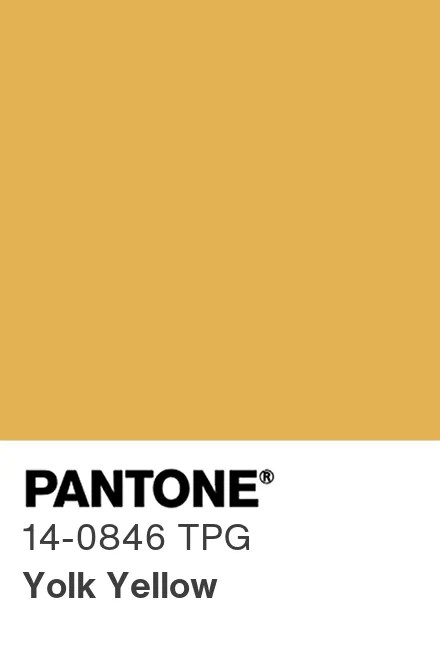 PANTONE 14-0846 TPG Yolk Yellow - Pantone色号库|Pantone潘通中国官网