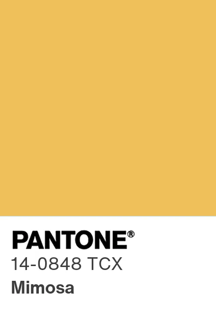 Pantone Color of the Year Chip