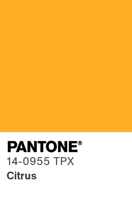 PANTONE 14-0955 TPG Citrus - Pantone色号库|Pantone潘通中国官网