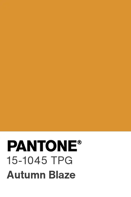 PANTONE 15-1045 TPG Autumn Blaze - Pantone色号库|Pantone潘通中国官网