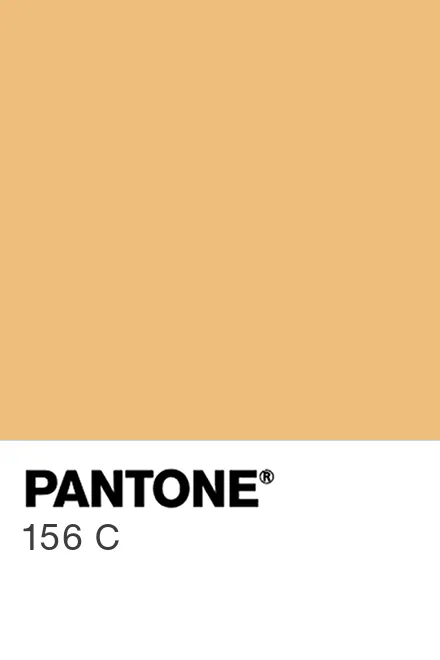 PANTONE 156 C - Pantone色号库|Pantone潘通中国官网