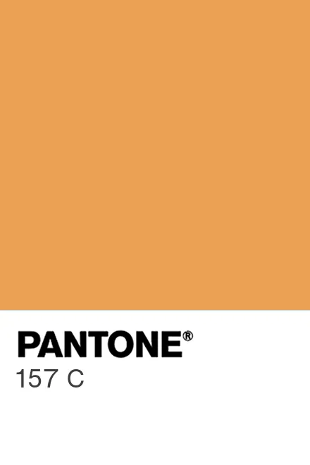 PANTONE 157 C Pantone色号库Pantone潘通中国官网