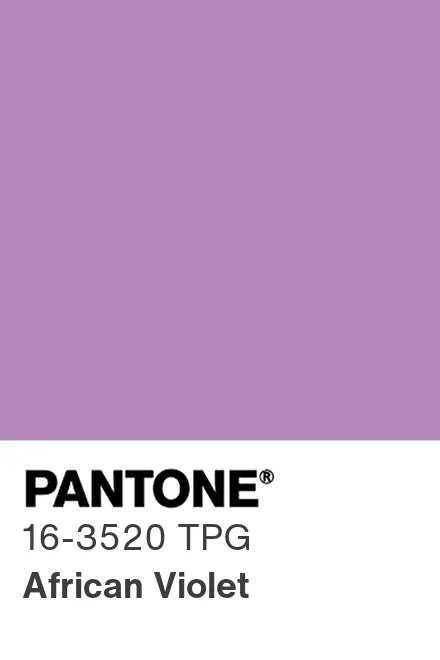 PANTONE 16-3520 TPG African Violet - Pantone色号库|Pantone潘通中国官网