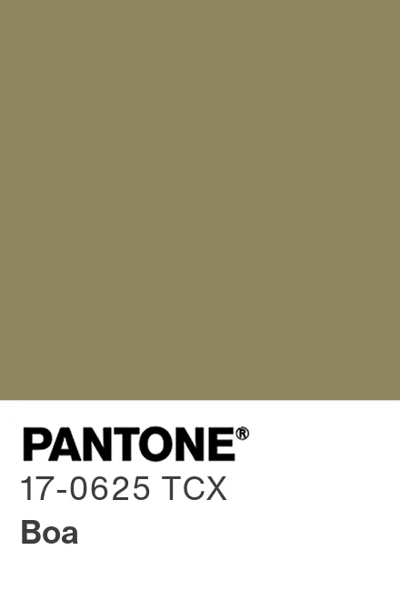 PANTONE 17-0625 TCX Boa - Pantone色号库|Pantone潘通中国官网