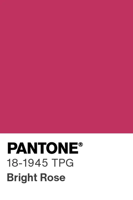 PANTONE 18-1945 TPG Bright Rose - Pantone色号库|Pantone潘通中国官网