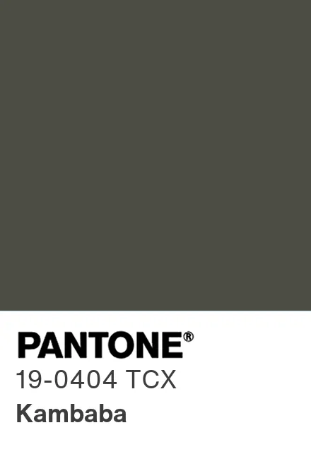 PANTONE 19 0404 TCX Kambaba Pantone Pantone pantone-19-0404-tcx-kambaba-pantone-pantone