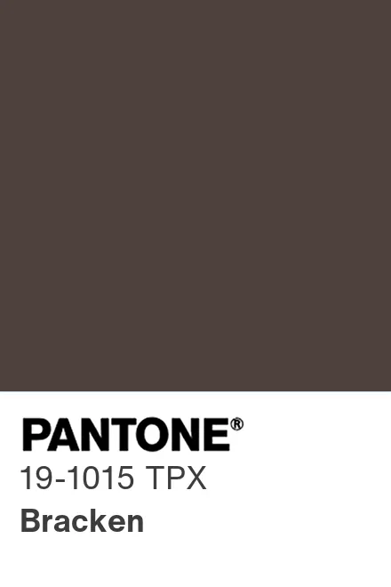 PANTONE 19-1015 TPG Bracken - Pantone色号库|Pantone潘通中国官网