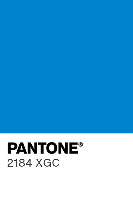 PANTONE 2184 XGC - Pantone色号库|Pantone潘通中国官网