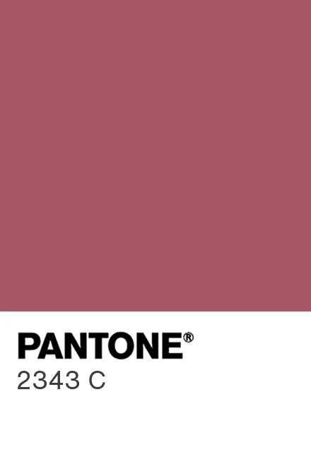 PANTONE 2343 C - Pantone色号库|Pantone潘通中国官网