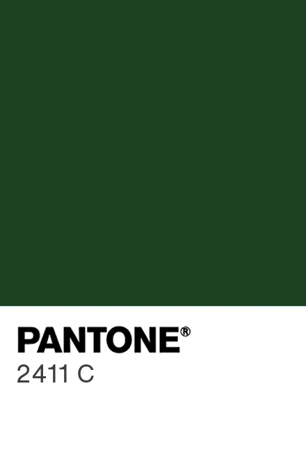 PANTONE 2411 C Pantone Pantone pantone-2411-c-pantone-pantone