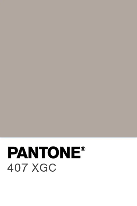 PANTONE 407 XGC - Pantone色号库|Pantone潘通中国官网