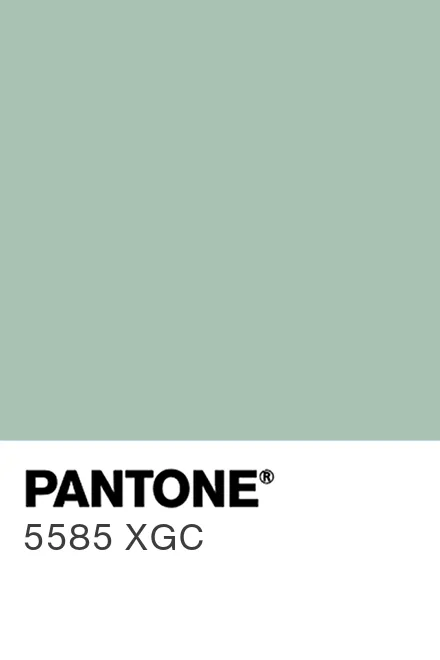 PANTONE 5585 XGC - Pantone色号库|Pantone潘通中国官网