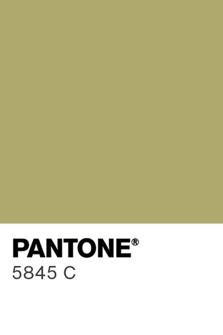 PANTONE 5845 C - Pantone色号库|Pantone潘通中国官网