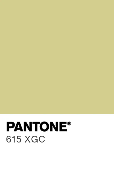 PANTONE 615 XGC - Pantone色号库|Pantone潘通中国官网