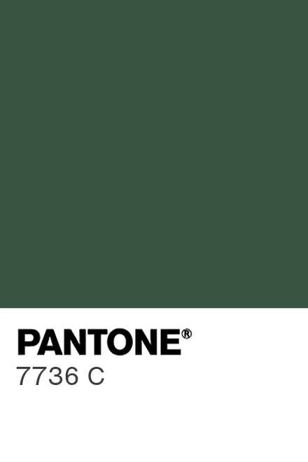 PANTONE 7736 C - Pantone色号库|Pantone潘通中国官网
