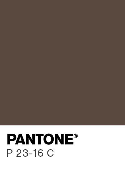 pantone-p-23-16-c-pantone-pantone