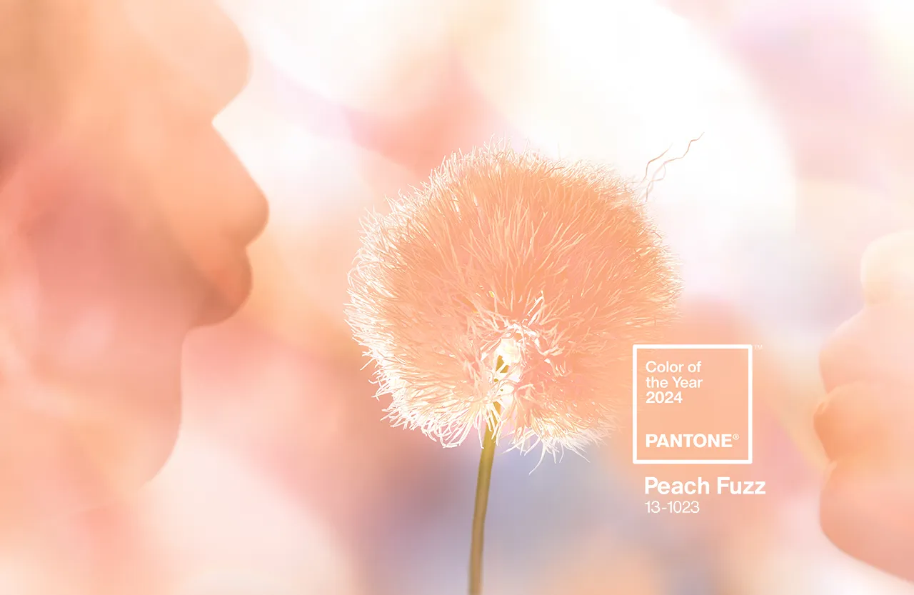 潘通2024年度色发布：PANTONE 13-1023 Peach Fuzz 柔和桃