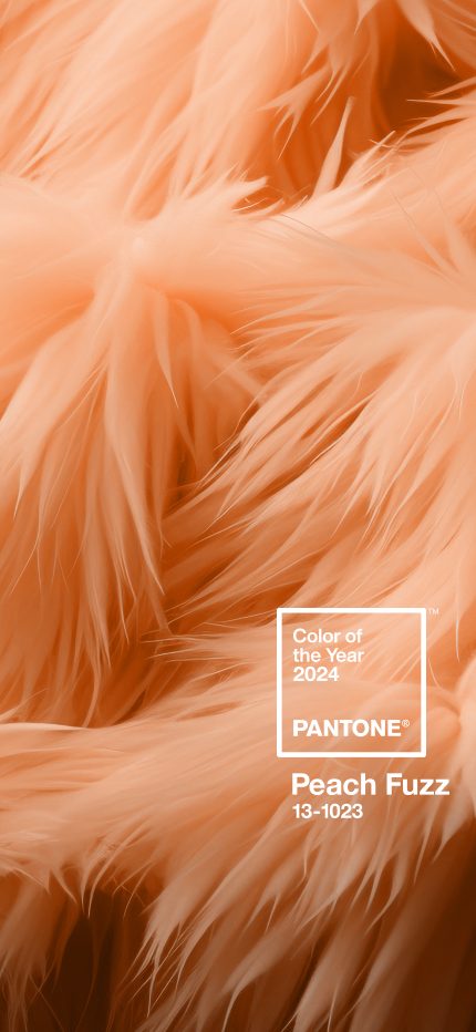 Spectacular Pantone Paint Sample Capture for Your Screen Spectacular Pantone Paint Sample Capture for Your Screen